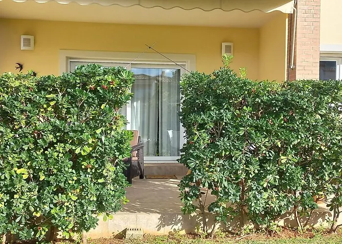 El Respiro دينايا